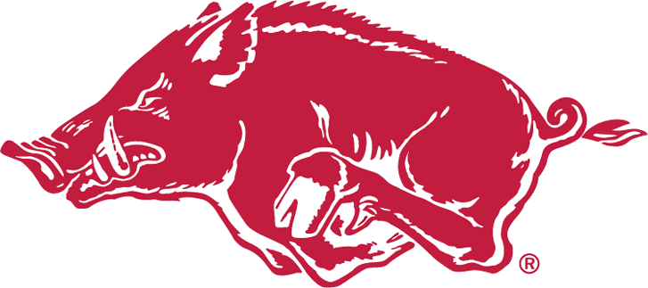 Arkansas Razorbacks 1967-2000 Alternate Logo v2 iron on transfers for T-shirts